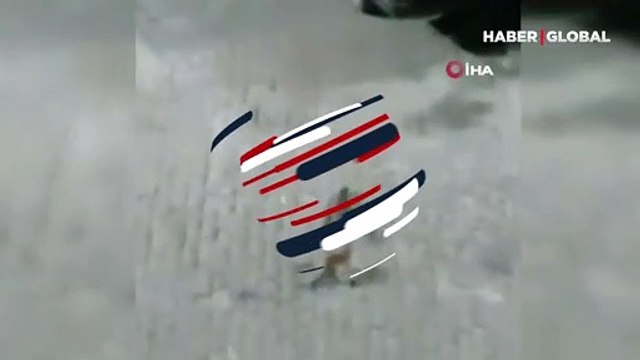 Sansar ile kedinin mücadelesi kamerada! İkiliyi emekli öğretmen ayırdı