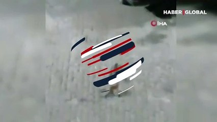 Sansar ile kedinin mücadelesi kamerada! İkiliyi emekli öğretmen ayırdı