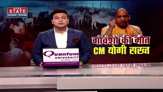 Amroha Cow Death: 61 गोवंश की मौत से हड़कंप, CM योगी ने मामले में लिया संज्ञान