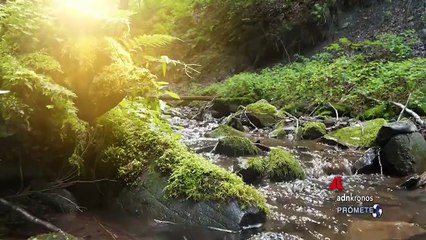 Sanpellegrino, le comunità e il pianeta al centro del modello di business