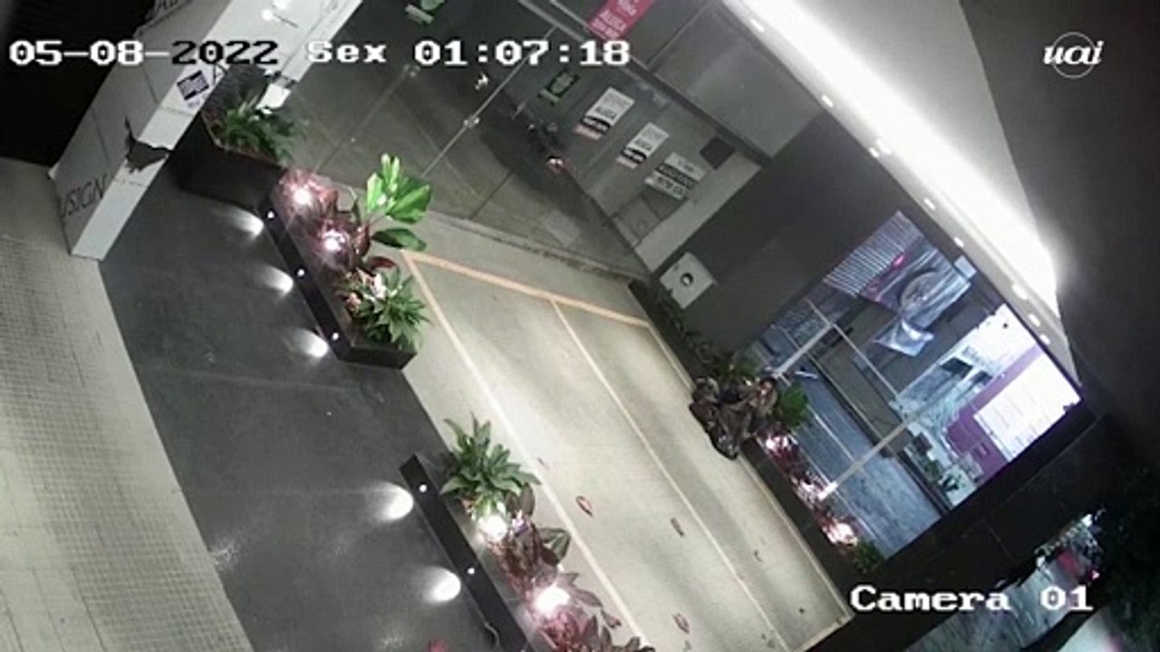 Condomínio na Savassi sofre mais um roubo de plantas nesta madrugada (5/8)