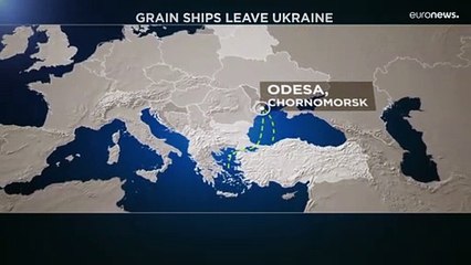 Export ucraino: partite altre 3 navi con cereali