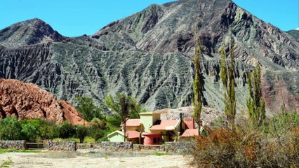 Argentine (Purmamarca)