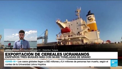 Informe desde Estambul: tres nuevos navíos cargados con grano salieron de Ucrania
