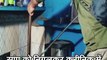शिवपुरी :  सांप को निगलकर क्लीनिक में घुसा कोबरा सांप