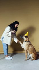 A Girl has a good relationship with a Dog | Animals Video