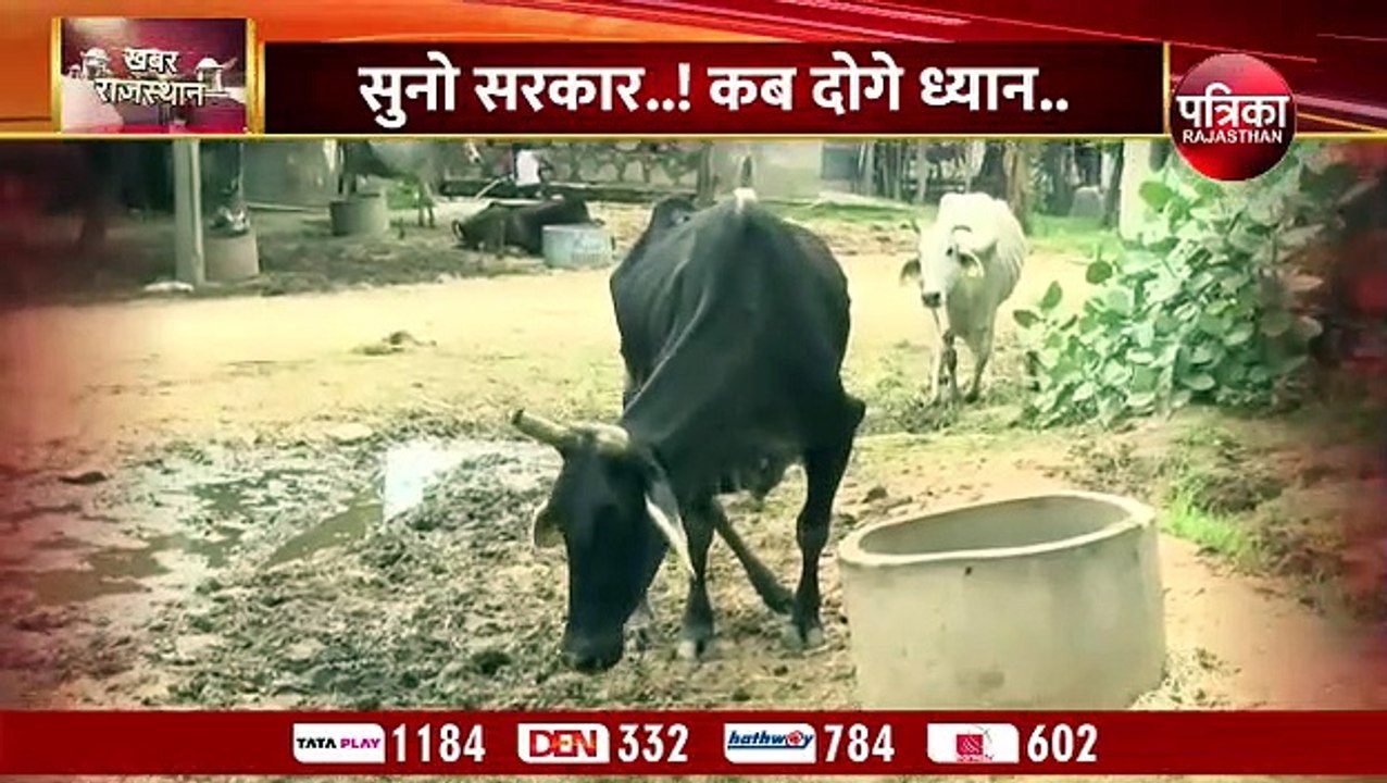 लम्पी वायरस का बढ़ता कहर-गौशाला में बदहाली में...