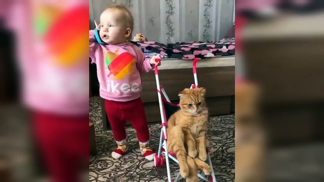 Cute Baby & Sweet Kitty