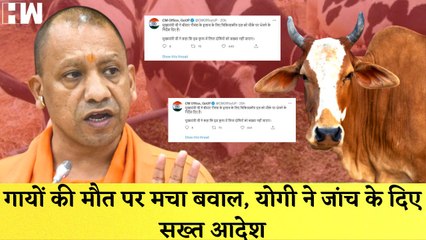 Video herunterladen: Uttar Pradesh Amroha: गायों की मौत पर मचा बवाल, CM Yogi ने जांच के दिए सख्त आदेश| Yogi Adityanath