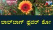 Most Awaited Lalbagh Flower Show Kicks Off Today | Bengaluru | Public TV