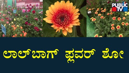 Most Awaited Lalbagh Flower Show Kicks Off Today | Bengaluru | Public TV
