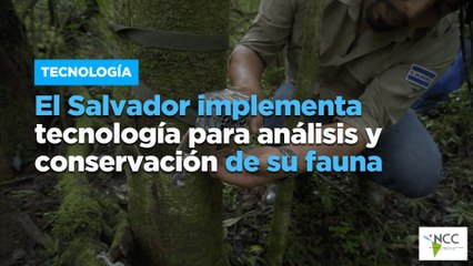 El Salvador implementa tecnología para análisis y conservación de su fauna