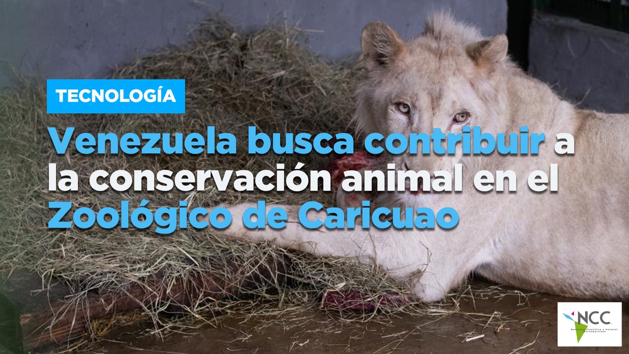 Venezuela busca contribuir a la conservación animal en el Zoológico de Caricuao