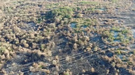 Incendio boschivo sul Carlo Goriziano: sopralluogo dei droni (05.08.22)