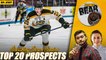 Breaking Down the Bruins Top 20 Prospects | Poke the Bear