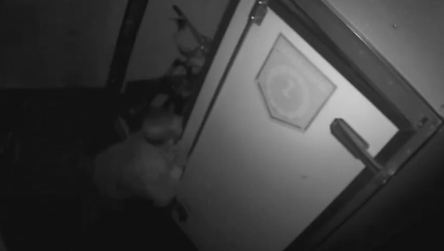 Giarre (CT) - Aveva “spaccato” un negozio di bici: condannato (05.08.22)