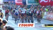 Démare s'impose dans la dernière étape - Cyclisme - Tour de Pologne