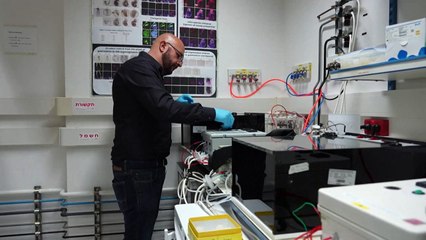Embriões sintéticos? Uma perspectiva em desenvolvimento