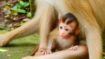 11=no..no..no I need milk i' m very hungry ,poorest  baby Rainbow never get milk happiness