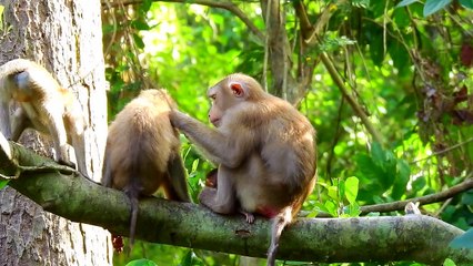 Baby girl Rainbow angry scare - Why push me away