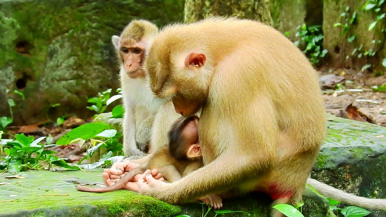 22=Close eye feeling sad...!! No milk no more my mom lest care and not give milk drop