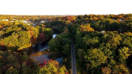 American  colorful  trees