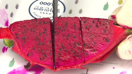 맛나고 몸에 좋은 제주 '붉은 용과' 맛보세요! / YTN