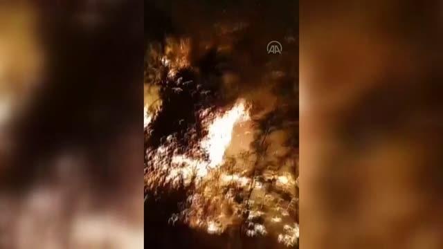 Son dakika haberi | Ormanlık alanda çıkan yangına müdahale ediliyor