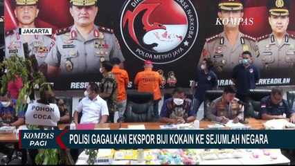 Polisi Gagalkan Ekspor Biji Kokain ke Sejumlah Negara, 1 Orang Ditetapkan Jadi Tersangka