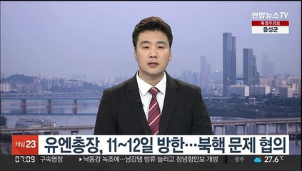 유엔총장, 11~12일 방한…북핵 문제 협의