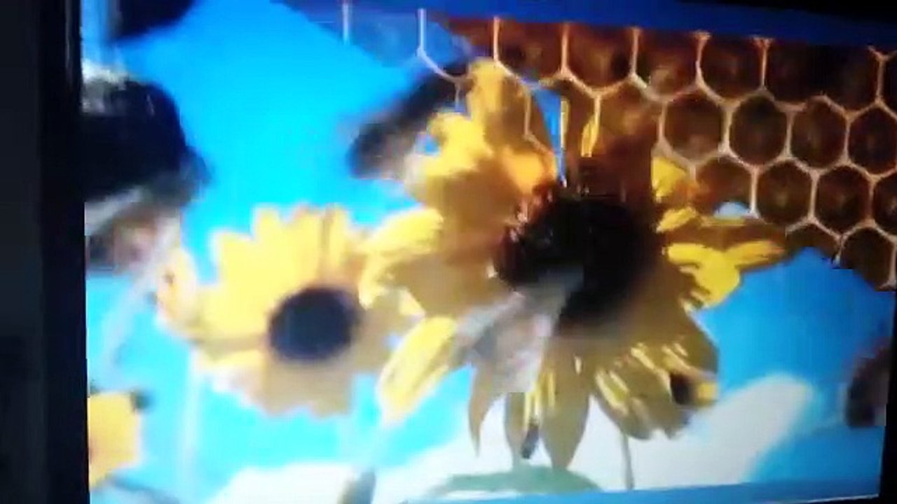 Sid the science kid susie song busy busy busy