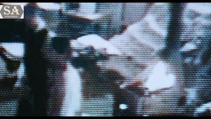 REVIEW PHIM NGƯỜI SẮT 1 - IRON MAN - Vua Phim Review #30