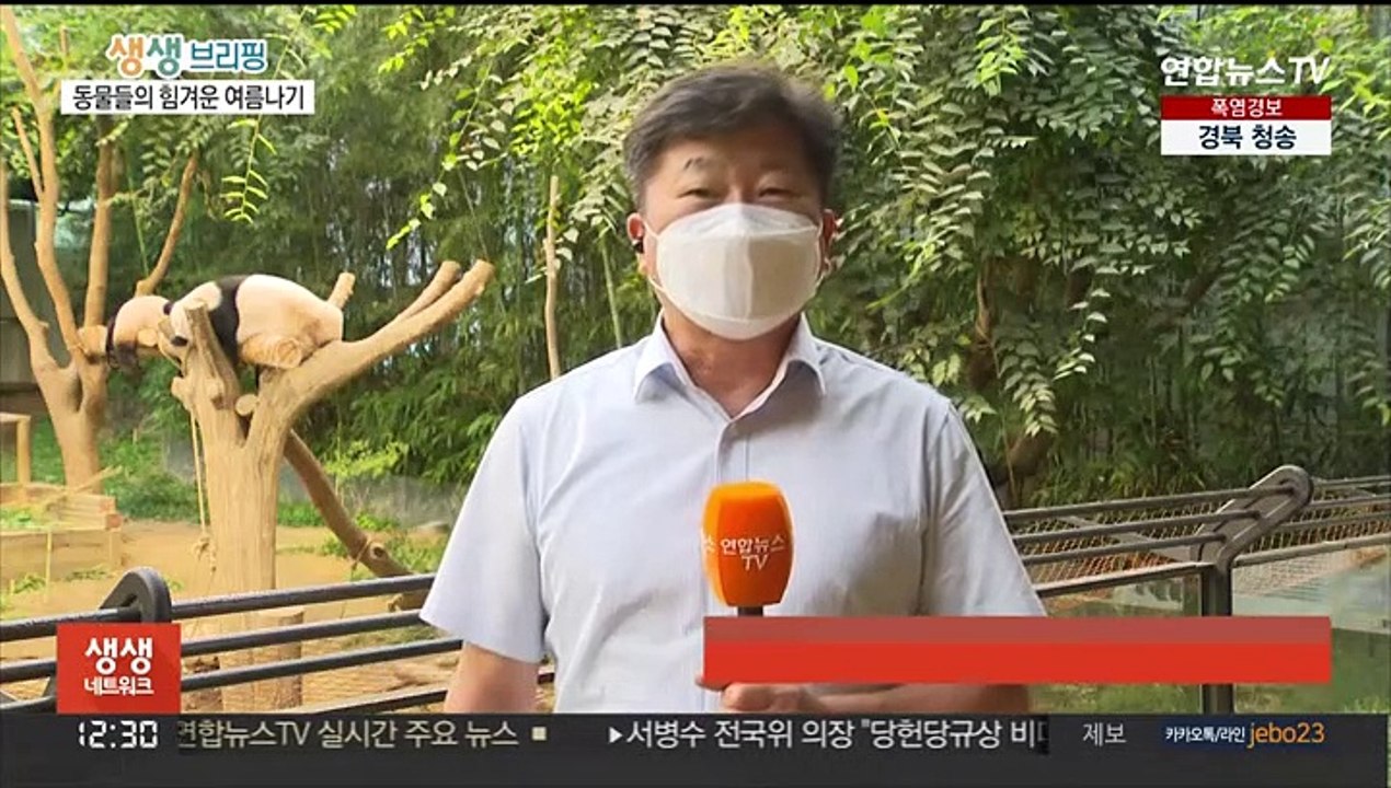 푹푹 찌는 찜통더위…동물들의 힘겨운 여름나기