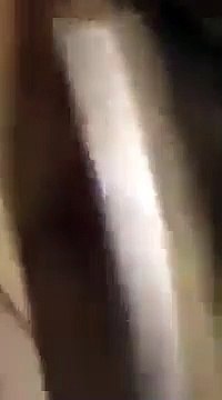 Kapısına Gelen AKP'lilere Faturalarını Verdi: Önce Faturaları Ödeyin, Hırsızlar