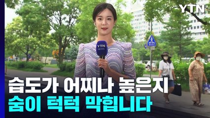 [날씨] 내일 절기상 '입추'...30℃ 무더위 속 곳곳 소나기 / YTN