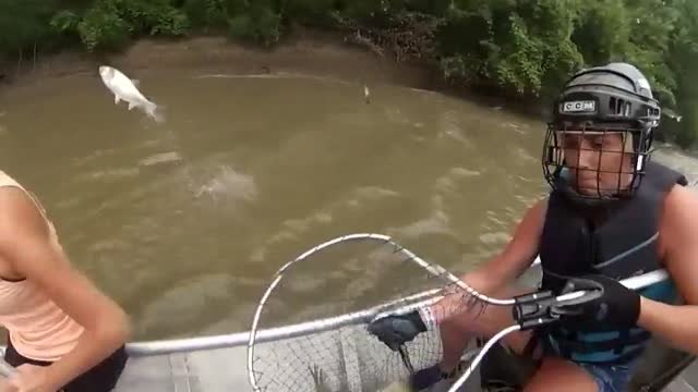 La loca pesca de carpas asiáticas en Illinois desata el entusiasmo de los turistas