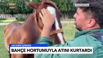 ‘Yaşamaz’ Dedikleri Atını Hortumla Hayata Döndürdü! - TGRT Haber