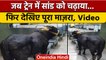 Train में Bull की सवारी, Video हो रहा Viral, बोला- Sahibganj में उतार देना | वनइंडिया हिंदी | *News