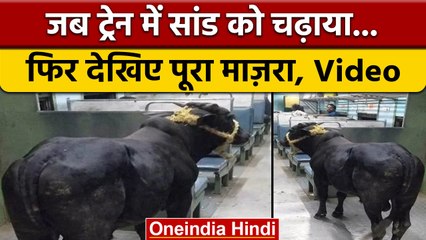 Train में Bull की सवारी, Video हो रहा Viral, बोला- Sahibganj में उतार देना | वनइंडिया हिंदी | *News