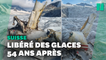 L’épave d’un avion retrouvée sur un glacier suisse 54 ans après son crash