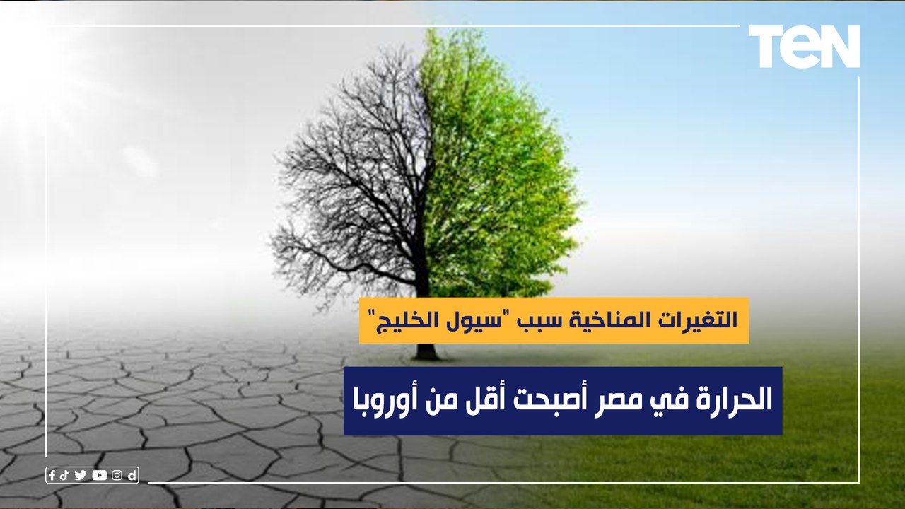 الأرصاد الجوية: التغيرات المناخية سبب "سيول الخليج".. والحرارة في مصر أصبحت أقل من أوروبا
