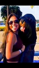 Best of Funny Animals  Moment Funny Animals Fun More