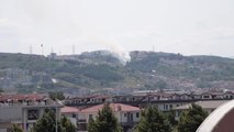 Sakarya haberi... Serdivan'da ağaçlık alanda çıkan yangın söndürüldü