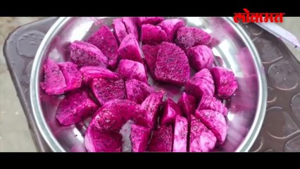 सिमेंटच्या जंगलातील शेतीची होतेय चर्चा !