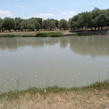 Aras Nehri'ne düşen çocuğunu kurtarmaya çalışan anne akıntıya kapılarak boğuldu