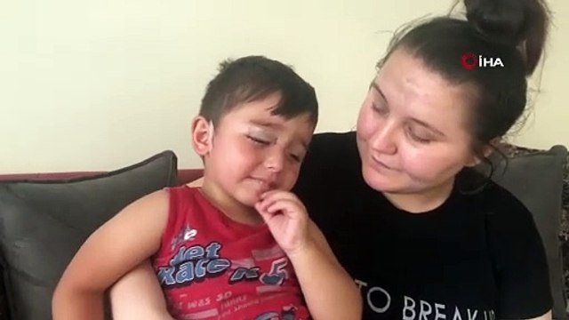 Kastamonu'da başıboş köpek dehşeti... Minik çocuk az kalsın canından oluyordu