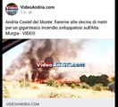 Gigantesco incendio nei pressi della Andria-Castel del Monte  - VIDEO su https://www.videoandria.com/