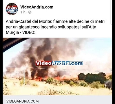 Gigantesco incendio nei pressi della Andria-Castel del Monte - VIDEO su videoandria.com/