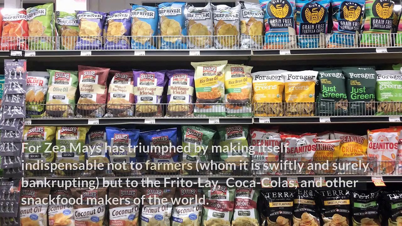 When Corn Becomes King