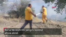 Bursa'da zeytinlik yangını kontrol altına alındı